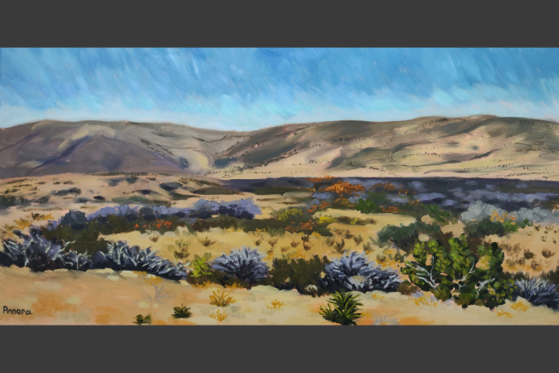 Desert Shrubs
