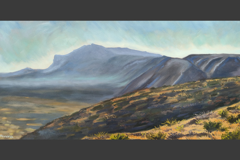Guadalupe Ridge