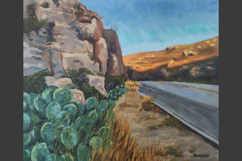 Desert Road
