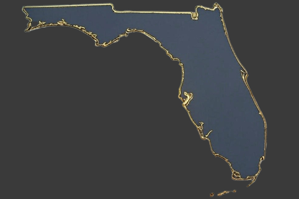 Florida Network